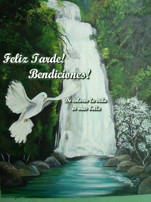 Feliz Tarde Bendiciones TnRelaciones La Vida Misma