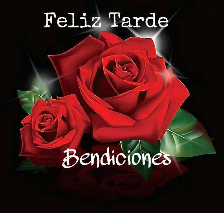 Feliz Tarde. Bendiciones