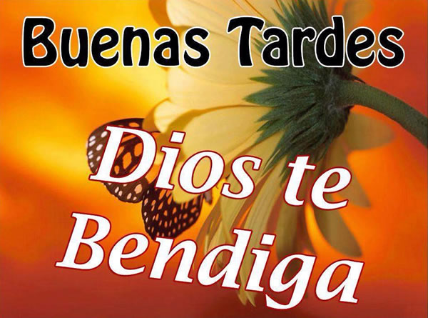 Imágenes, Frases y Reflexiones: BUENAS TARDES DIOS TE BENDIGA