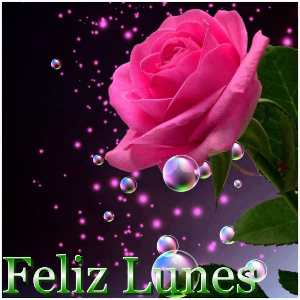 Feliz Lunes