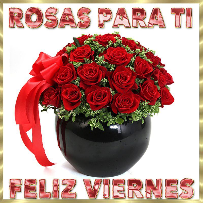 Rosas para Tí, Feliz Viernes