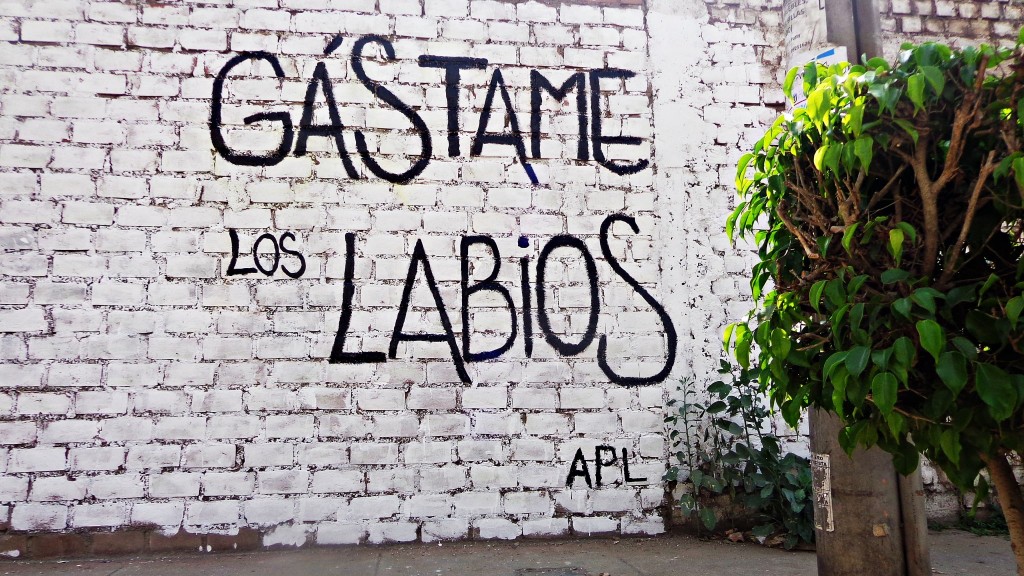 gastame-los-labios