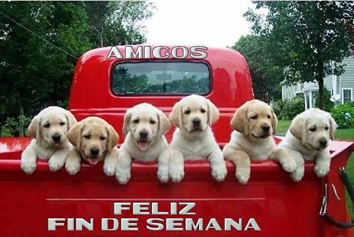 Amigos. Feliz fin de Semana