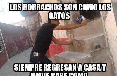 Los borrachos son como los gatos, siempre regresan a casa y nadie sabe como.