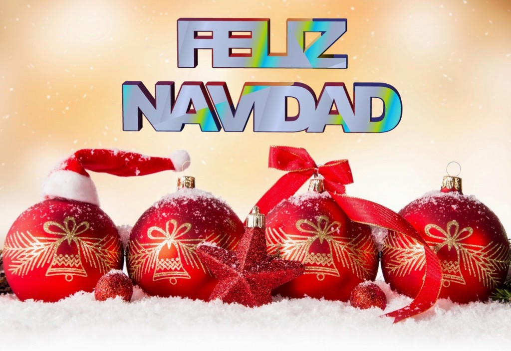 No existe la Navidad ideal, solo la Navidad que usted decida crear