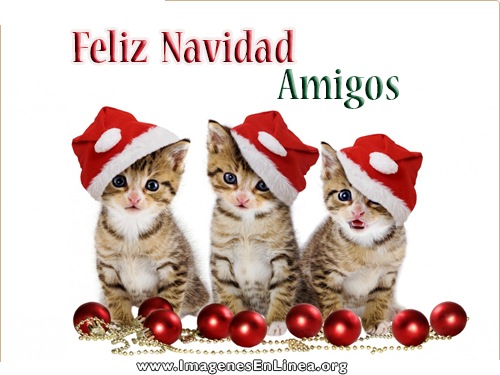 Feliz Navidad Amigos